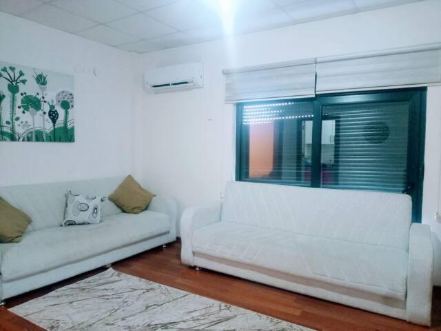 WhatsApp Image 2026-02-23 at 11.31.23 (2)