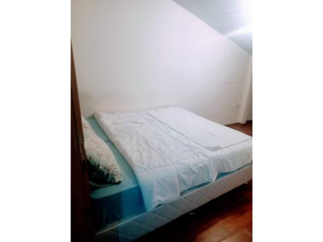 WhatsApp Image 2026-02-23 at 11.31.23