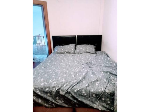 WhatsApp Image 2026-02-23 at 11.31.24 (1)