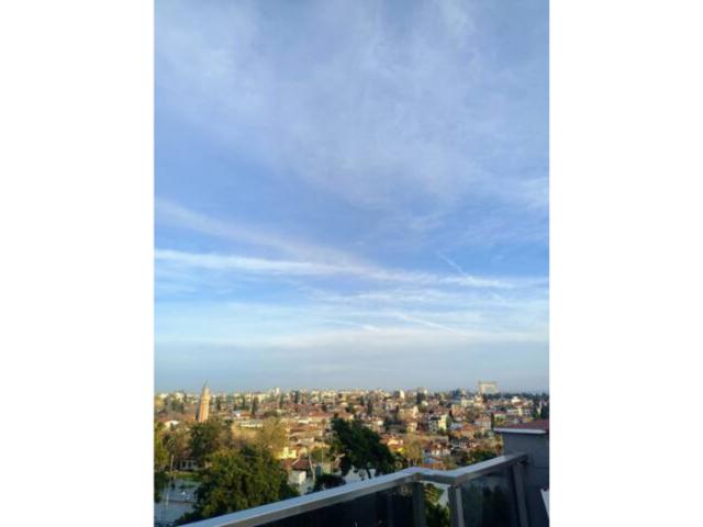 WhatsApp Image 2026-02-23 at 11.31.25 (1)