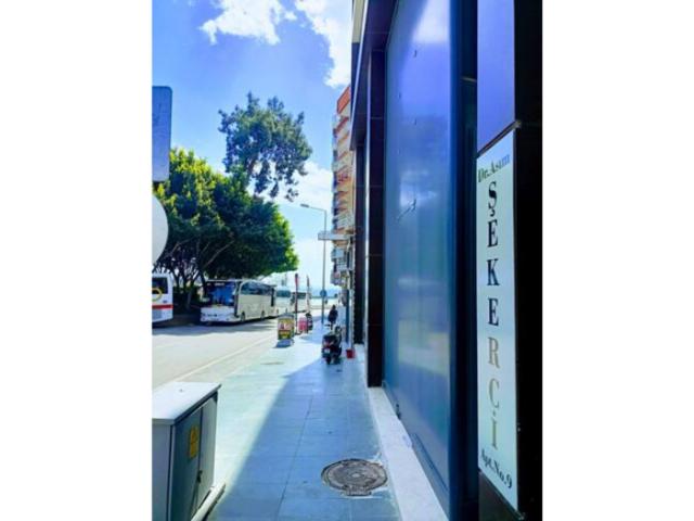 WhatsApp Image 2026-02-23 at 11.31.25