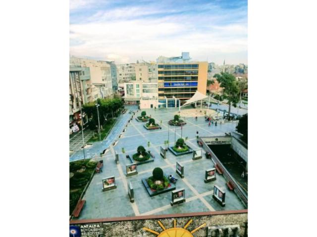 WhatsApp Image 2026-02-23 at 11.31.26 (1)