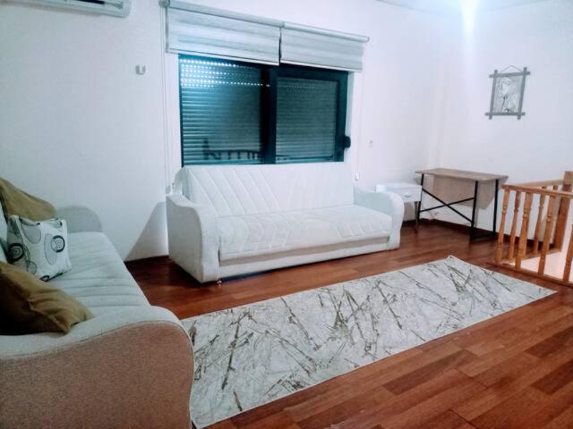 WhatsApp Image 2026-02-23 at 11.31.27 (1)