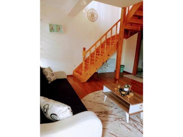 WhatsApp Image 2026-02-23 at 11.31.27